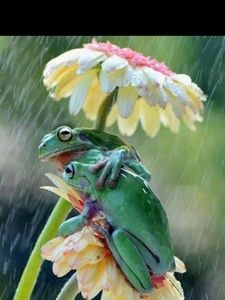 Meet your Posher, Kathy